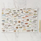 Fish Fishing Paper Placemats ペーパーパッド (インサイチュ)