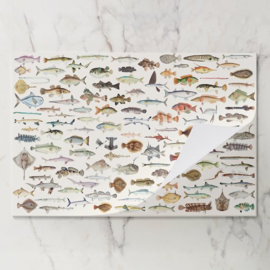 Fish Fishing Paper Placemats ペーパーパッド (折り畳み)