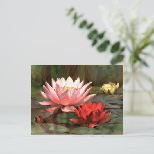 Fish in the Lily Pads – はがき (スタンド正面)