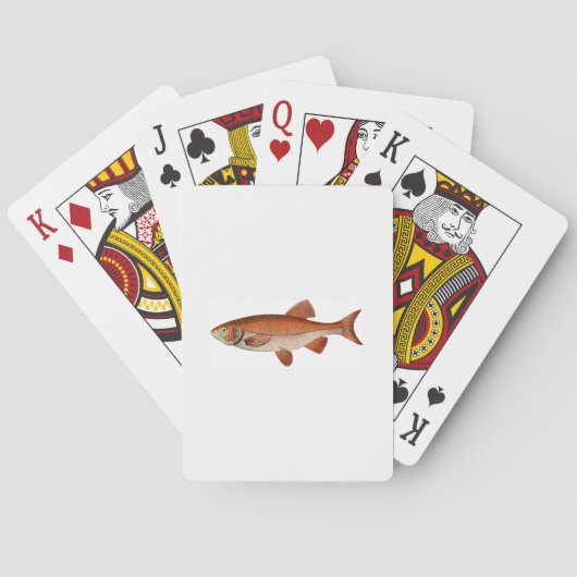 Fish Playing Cards トランプ (裏面)