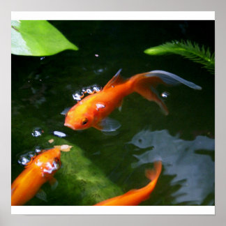 FISH TALES   www.debbie-may.fineartamerica.com ポスター