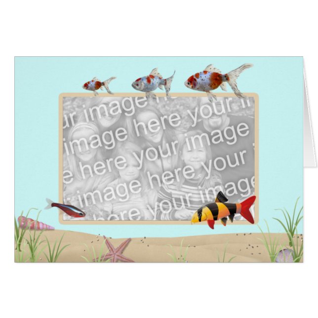 Fishbowl (正面横)