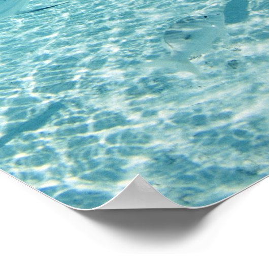 Fishes in the sea ポスター (角)