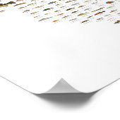 Fishes of Illinois Poster ポスター (角)