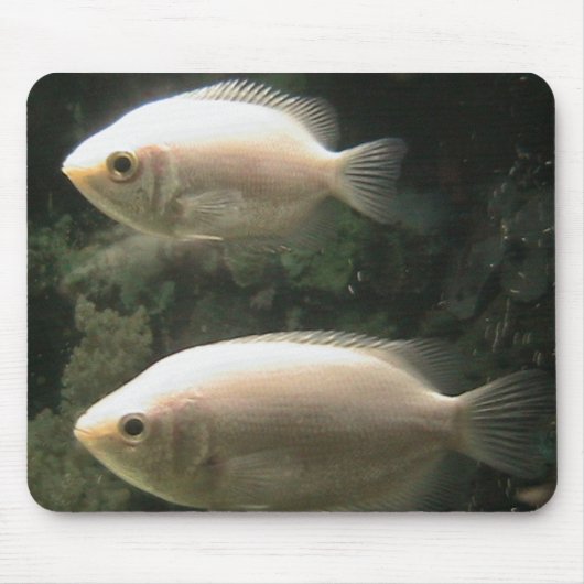 Fishiesのmousepad マウスパッド (正面)