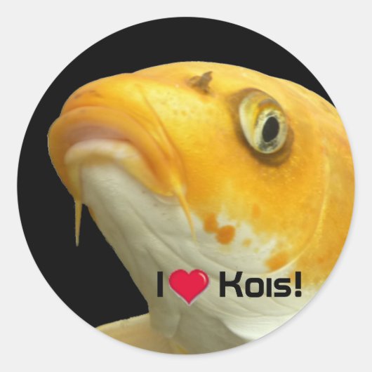 Fishies - Koi no.5 - I love Kois! Sticker ラウンドシール (正面)