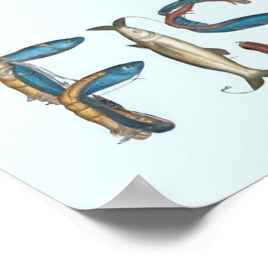 Fishing Text ポスター (角)