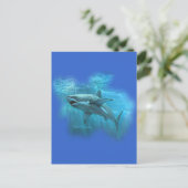 FishTs.comによるSharksコレクション ポストカード (スタンド正面)