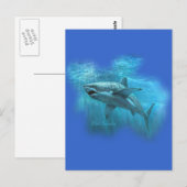 FishTs.comによるSharksコレクション ポストカード (正面/裏面)