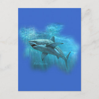 FishTs.comによるSharksコレクション ポストカード