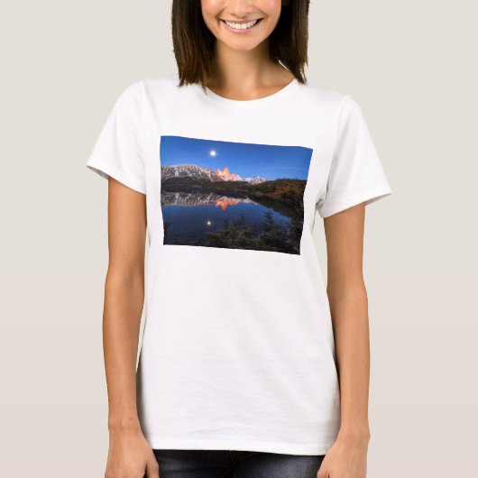 Fitzローイの反射 Tシャツ (正面)