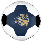 FIUパンサーヘッド サッカーボール (回転)