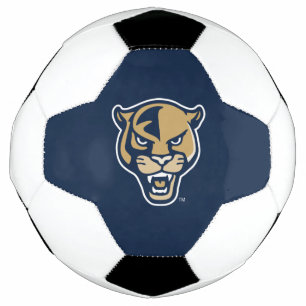FIUパンサーヘッド サッカーボール