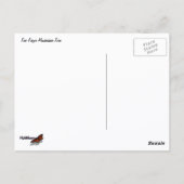 Five Finger Maidenhair Fern ポストカード (裏面)