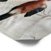 Five Jays, from the Vallardi Album ポスター (角)