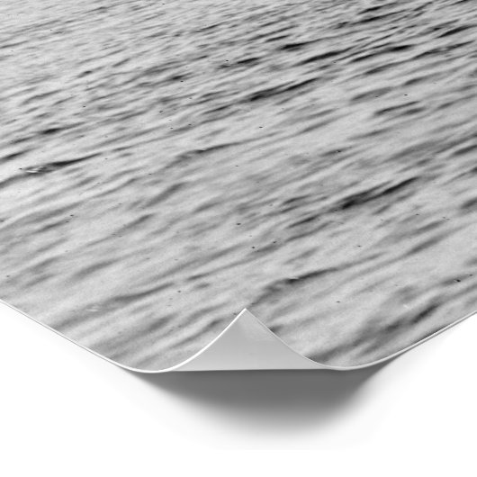 Five Masted Schooner, late 1800s ポスター (角)