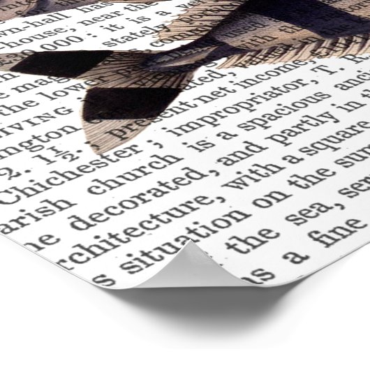 Five Striped Fish ポスター (角)