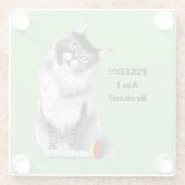 Fixed Kitty ガラスコースター (裏面)