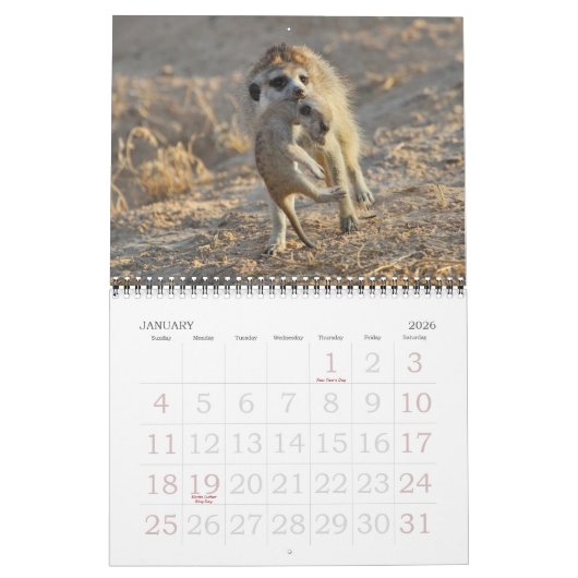 FKMP Meerkats 2013のカレンダー カレンダー (1月 2026)