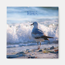 FL冷蔵庫用マグネットタンパ