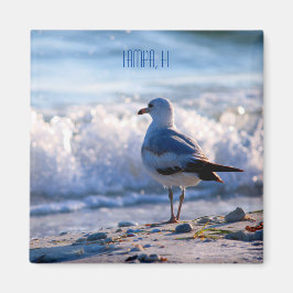 FL冷蔵庫用マグネットタンパ マグネット