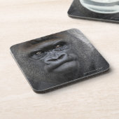 Flachlandgorillaのゴリラのゴリラ、 コースター (左側)