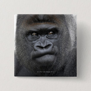 Flachlandgorillaのゴリラのゴリラ、 缶バッジ