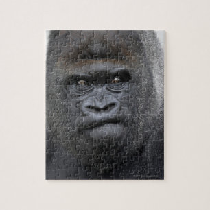 Flachlandgorilla、Gorilla gorilla、 ジグソーパズル