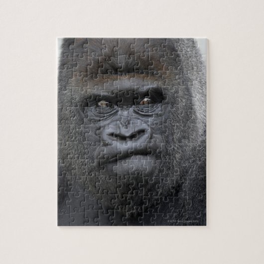 Flachlandgorilla、Gorilla gorilla、 ジグソーパズル (縦)