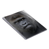 Flachlandgorilla、Gorilla gorilla、 ノートブック (右側)