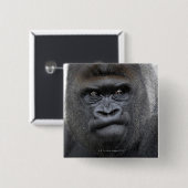 Flachlandgorilla、Gorilla gorilla、 缶バッジ (正面&裏面)