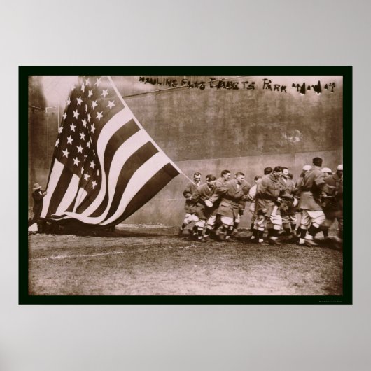 Flag Ebbets Park Baseball 1914 ポスター (正面)