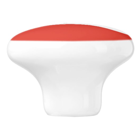 Flag of Berlin Ceramic Knob セラミックノブ (側面)