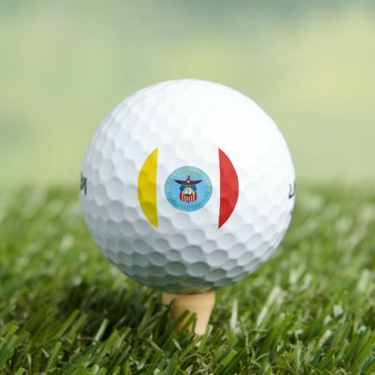 Flag of Columbus, Ohio Golf Balls ゴルフボール (インサイチュ 木)