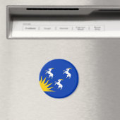 Flag of Merionethshire Magnet マグネット (インサイチュ (食洗機))