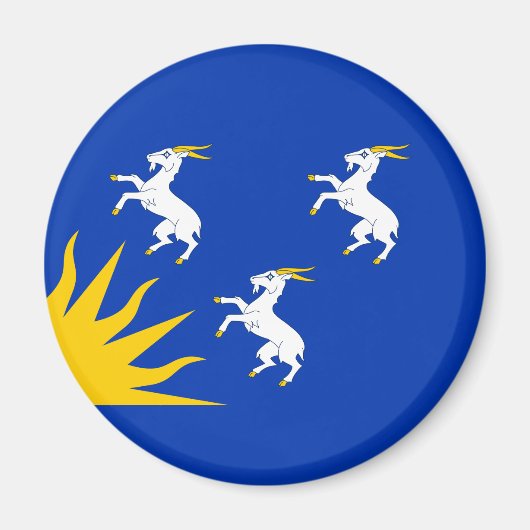 Flag of Merionethshire Magnet マグネット (正面)