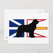 Flag_of_Newfoundland_and_Silo.p上のnewfieラブラドール ポストカード (正面/裏面)