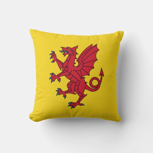 Flag of Somerset Throw Pillow クッション (正面)