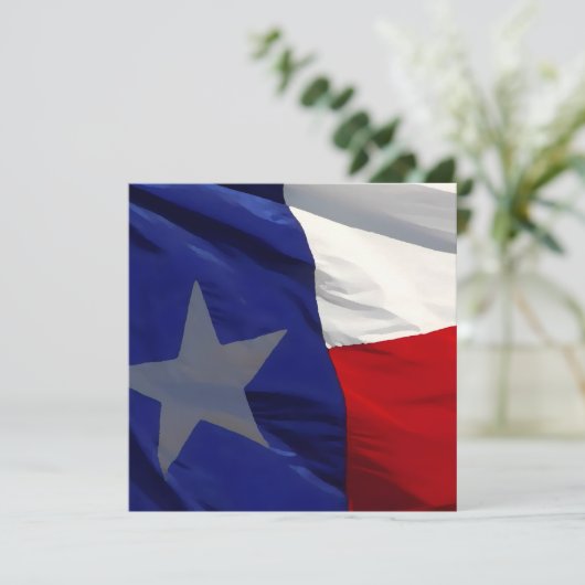Flag of Texas Pop Art シーズンカード (スタンド正面)