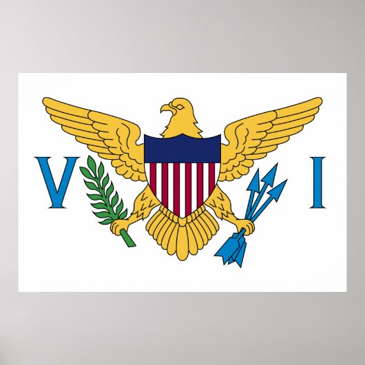 Flag of the US Virgin Islands ポスター (正面)