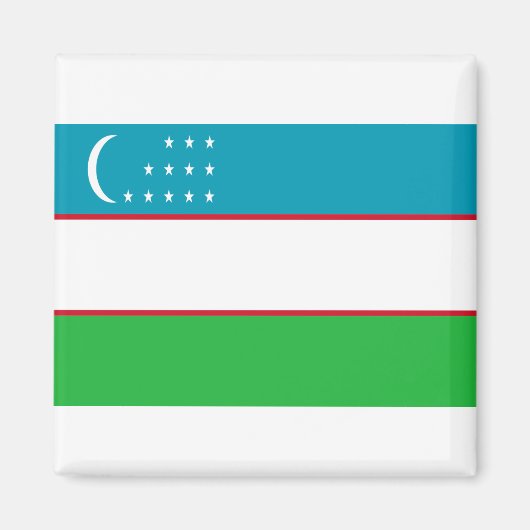 Flag of Uzbekistan マグネット (正面)