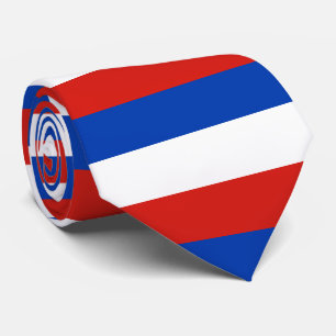 Flag Schleswig-Holstein Tie ネクタイ
