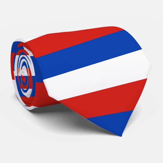 Flag Schleswig-Holstein Tie ネクタイ (ロール)