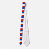 Flag Schleswig-Holstein Tie ネクタイ (裏面)