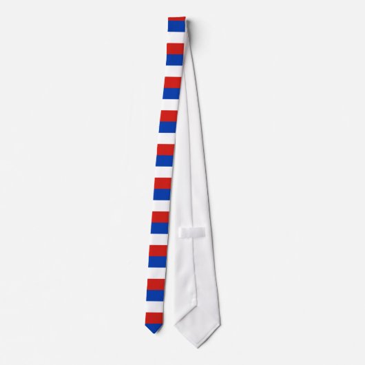 Flag Schleswig-Holstein Tie ネクタイ (裏面)
