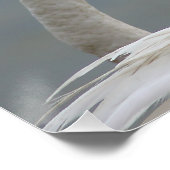 flamants roses ポスター (コーナー)