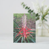 Flame Photoポストカードのハート ポストカード (スタンド正面)