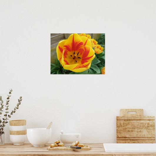 Flame Tulip Print ポスター (キッチン)