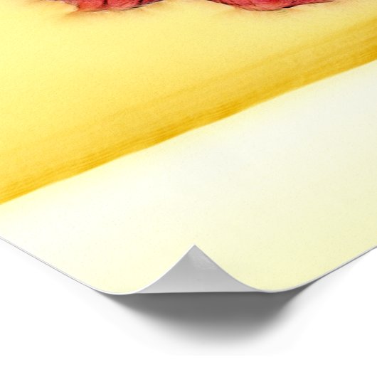 FLAMENCO ポスター (角)