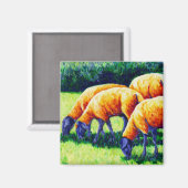 Flamin' Sheep - Sheep Magnet マグネット (正面/裏面)